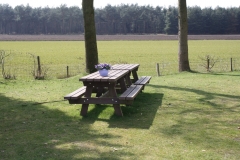 Picknicktafel bij de weilanden