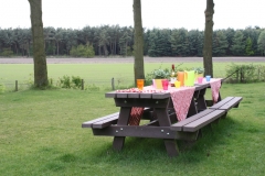 Tuin met picknicktafel bij de bungalow